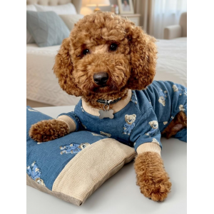 Teddy Blues Uyku Takımı | Ayıcık Desenli Pamuklu Penye Köpek Tulumu ve Mini Yastık | Küçük Irklar İçin | Tüy Dökülmesini Azaltır