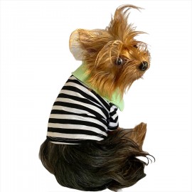 Grass Hopper Stripe Polo Yaka Tişört Köpek Kıyafeti Köpek Elbisesi