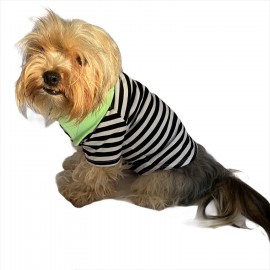 Grass Hopper Stripe Polo Yaka Tişört Köpek Kıyafeti Köpek Elbisesi