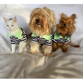 Grass Hopper Stripe Polo Yaka Tişört Köpek Kıyafeti Köpek Elbisesi