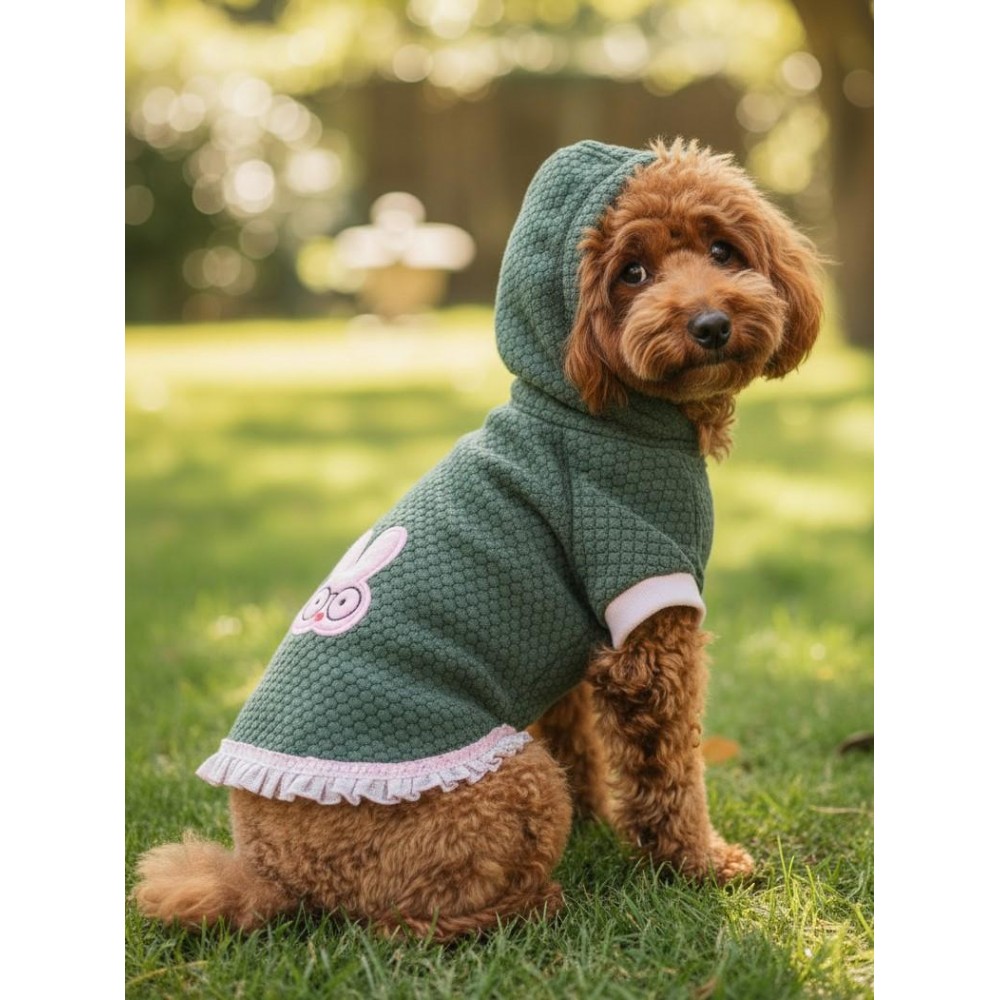 BunnyPop Kapüşonlu Köpek Elbisesi – Yeşil Pembe