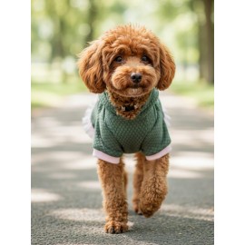 BunnyPop Kapüşonlu Köpek Elbisesi – Yeşil Pembe