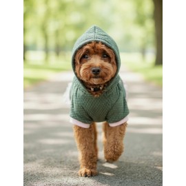 BunnyPop Kapüşonlu Köpek Elbisesi – Yeşil Pembe