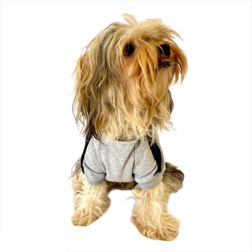 adidog köpek kıyafetleri
