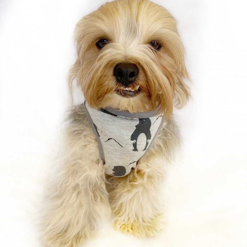 Hanging Paws Atlet by Kemique Köpek Kıyafeti Köpek Elbise