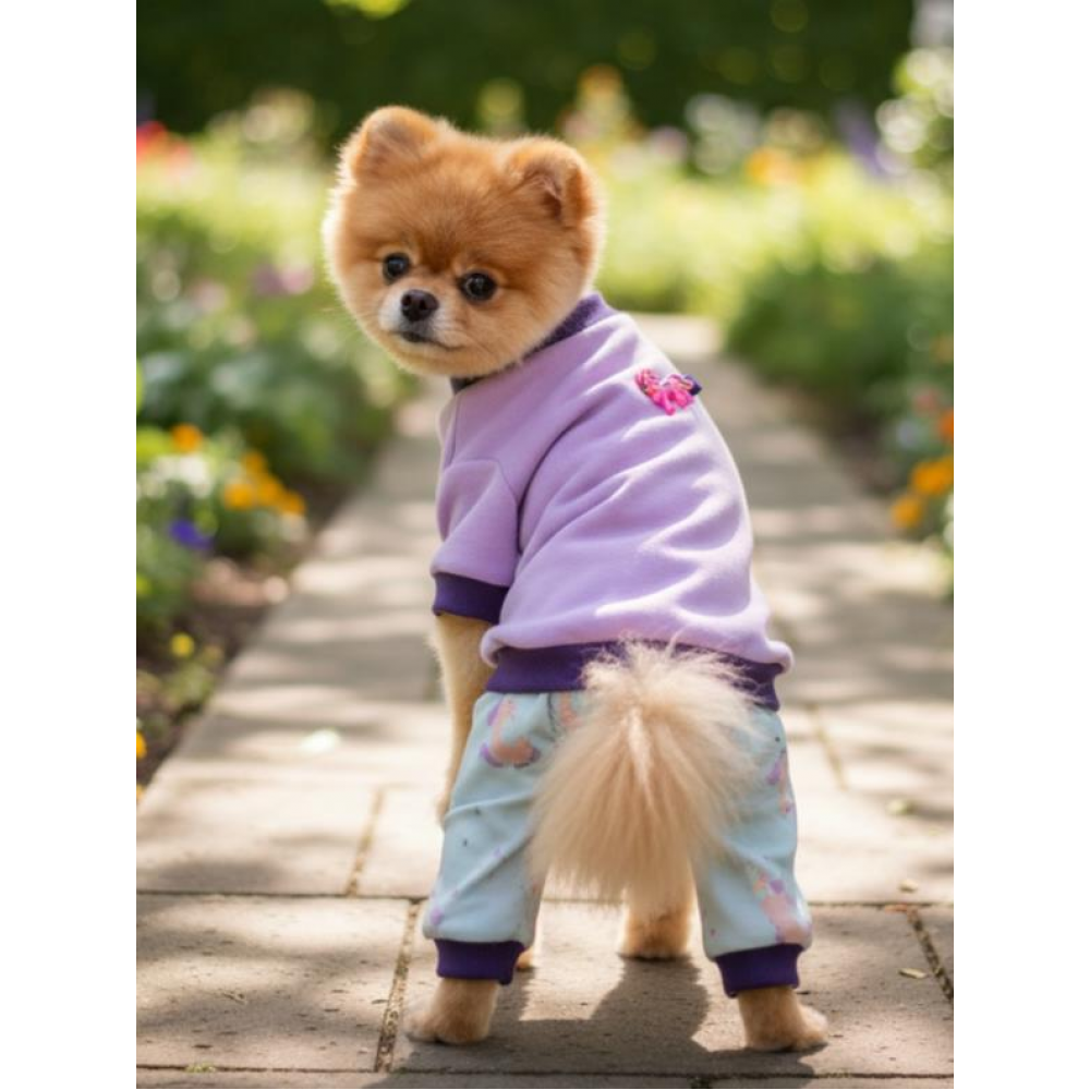 Happy Pony Duo – Sevimli Pony Desenli Köpek Tulum & Sweat Kombini