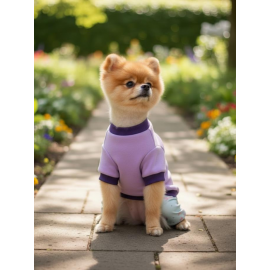 Happy Pony Duo – Sevimli Pony Desenli Köpek Tulum & Sweat Kombini