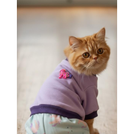 Happy Pony İkili Takım – Sevimli Pony Desenli Kedi Tulum & Sweat Kombini Kedi Kıyafeti