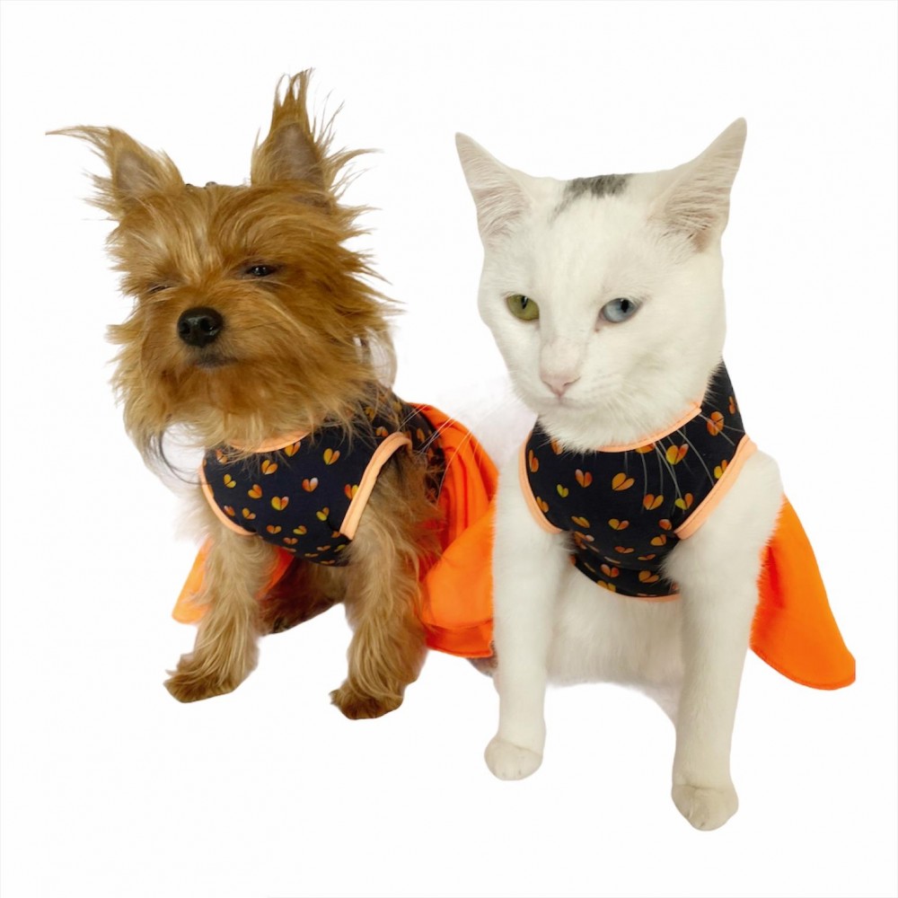 Hearts Orange Kedi Elbisesi Kedi Kıyafeti