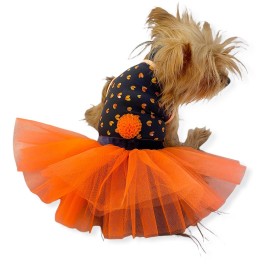 Hearty Tarty Orange Tütülü Köpek Elbisesi,  Kıyafeti Tutu