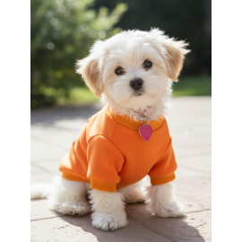 Ice Cream and Cupcakes Köpekler için Polar Sweatshirt