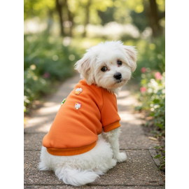 Ice Cream and Cupcakes Köpekler için Polar Sweatshirt