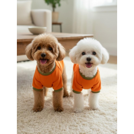 Ice Cream and Pineapple  Turuncu Haki Köpekler İçin Polar Sweatshirt