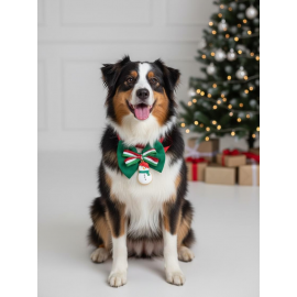 Kardan Adam Köpek Papyon Tasması |  Yeşil Kırmızı Fiyonk Boyun Aksesuarı | Noel Temalı Köpek Süsü | Orta ve Büyük Irklar İçin