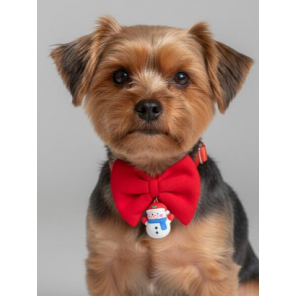 Snowman Küçük Irk Köpek Papyon Tasması | Kırmızı Fiyonk Boyun Aksesuarı | Noel Temalı Köpek Süsü