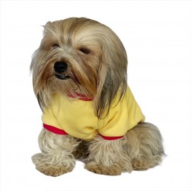 Kaykay Oval Yaka Tişört Köpek Kıyafeti Köpek Elbisesi