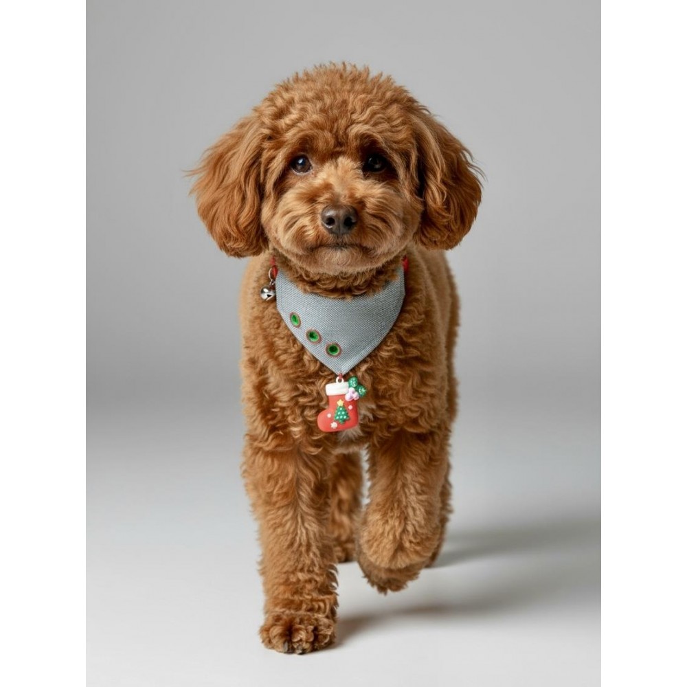 Christmas Dog Bandana | Küçük Irk Köpek Fuları | Yılbaşı Temalı Çorap Aksesuar Detaylı Bandana | Max 6 kg