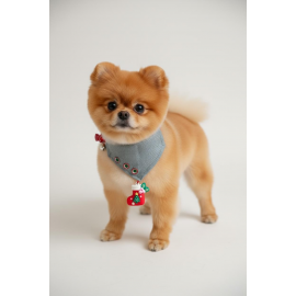 Christmas Dog Bandana | Küçük Irk Köpek Fuları | Yılbaşı Temalı Çorap Aksesuar Detaylı Bandana | Max 6 kg