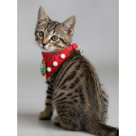 Christmas Squirrel Yılbaşı Kedi Bandanası | Ponponlu Kırmızı Noel Boyun Aksesuarı | Sevimli Sincap Figürlü Kedi Süsü