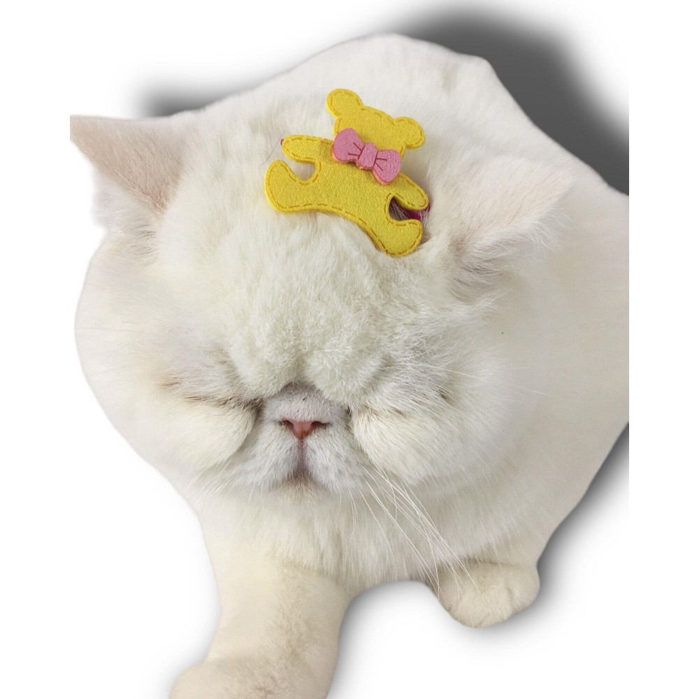 Kedi Tokası Teddy Serisi Yellow