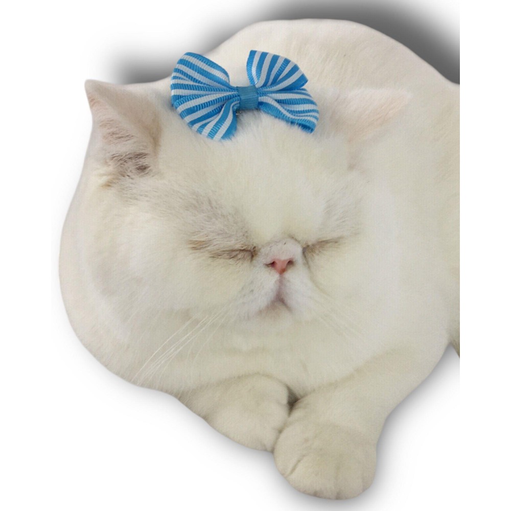 Kedi Tokası Stripe Serisi Blue