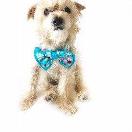 KEDİ VE KÖPEKLER İÇİN PAPYON MAVİ KELEBEKLİ by Kemique