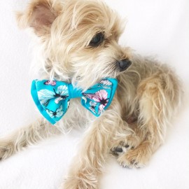 KEDİ VE KÖPEKLER İÇİN PAPYON MAVİ KELEBEKLİ by Kemique