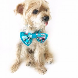 KEDİ VE KÖPEKLER İÇİN PAPYON MAVİ KELEBEKLİ by Kemique