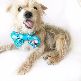 KEDİ VE KÖPEKLER İÇİN PAPYON MAVİ KELEBEKLİ by Kemique