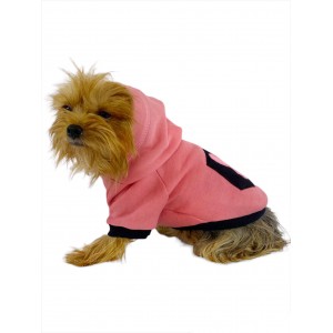 Student Rabbit Sweatshirt Köpek Kıyafeti Köpek Elbisesi