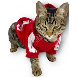 Kırmızı Adidog Kapşonlu Kedi Sweatshirt Kedi Kazağı Duo 