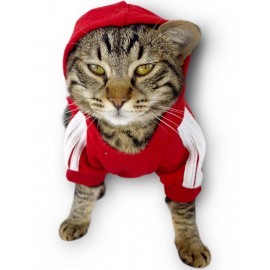 Kırmızı Adidog Kapşonlu Kedi Sweatshirt Kedi Kazağı Duo 