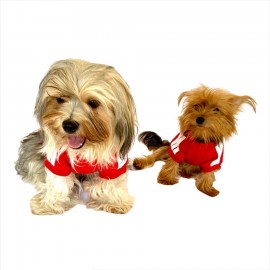Kırmızı Adidog Kapşonlu Köpek Sweatshirt Köpek Kazağı