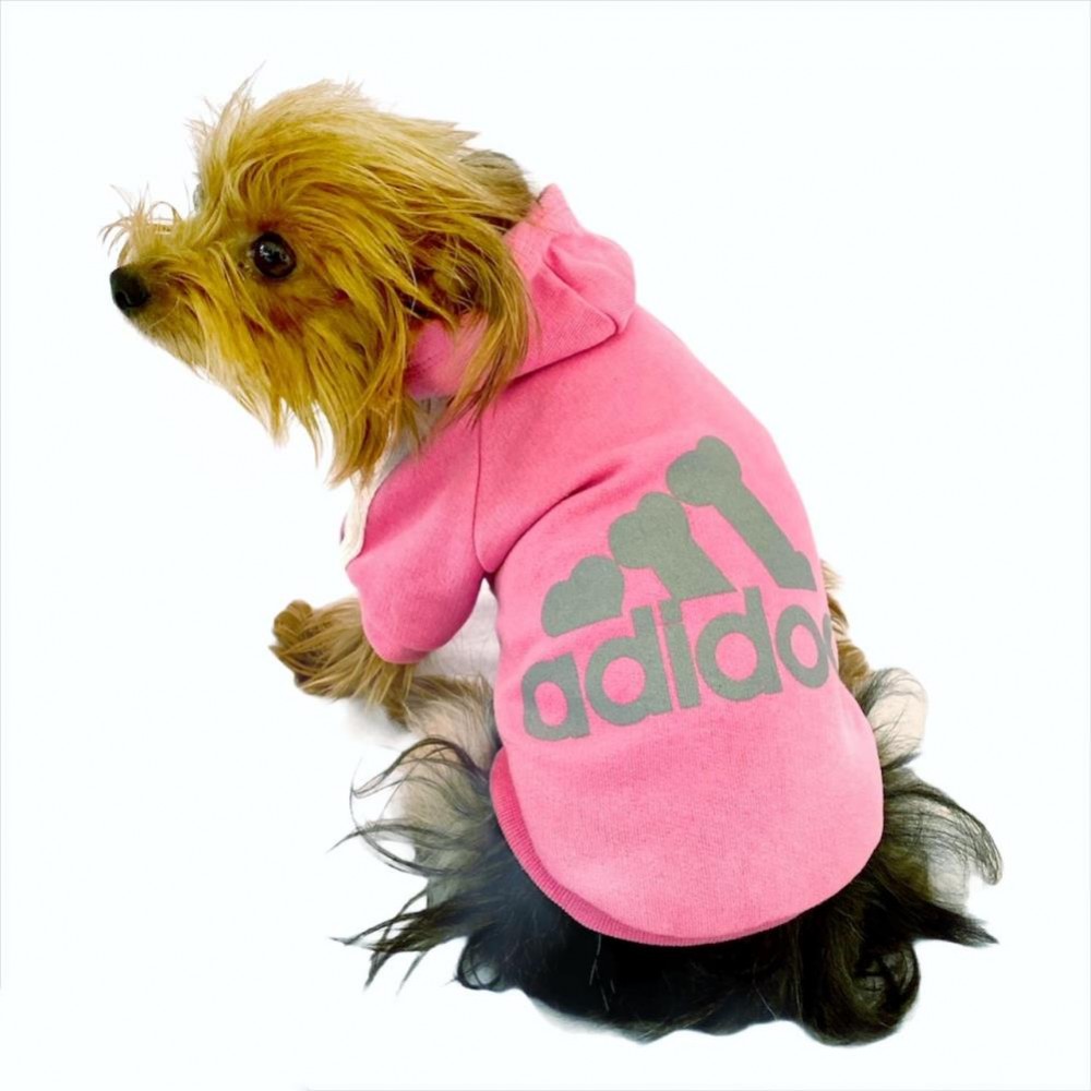 Pembe Adidog Kapşonlu Köpek Sweatshirt Köpek Kazağı