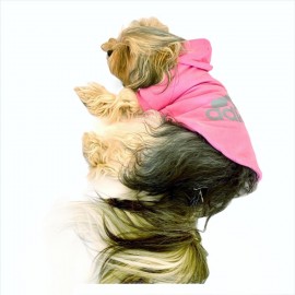 Pembe Adidog Kapşonlu Köpek Sweatshirt Köpek Kazağı