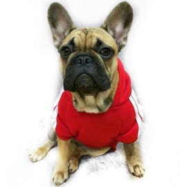 Kırmızı Adidog Kapşonlu Sweatshirt, Orta ve Büyük Irklar İçin