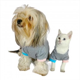 Kitty Grey Kapşonlu Sweat by Kemique Köpek Kazağı 