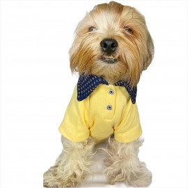 Gentleman FB Polo Yaka Tişört Köpek Kıyafeti Köpek Elbisesi
