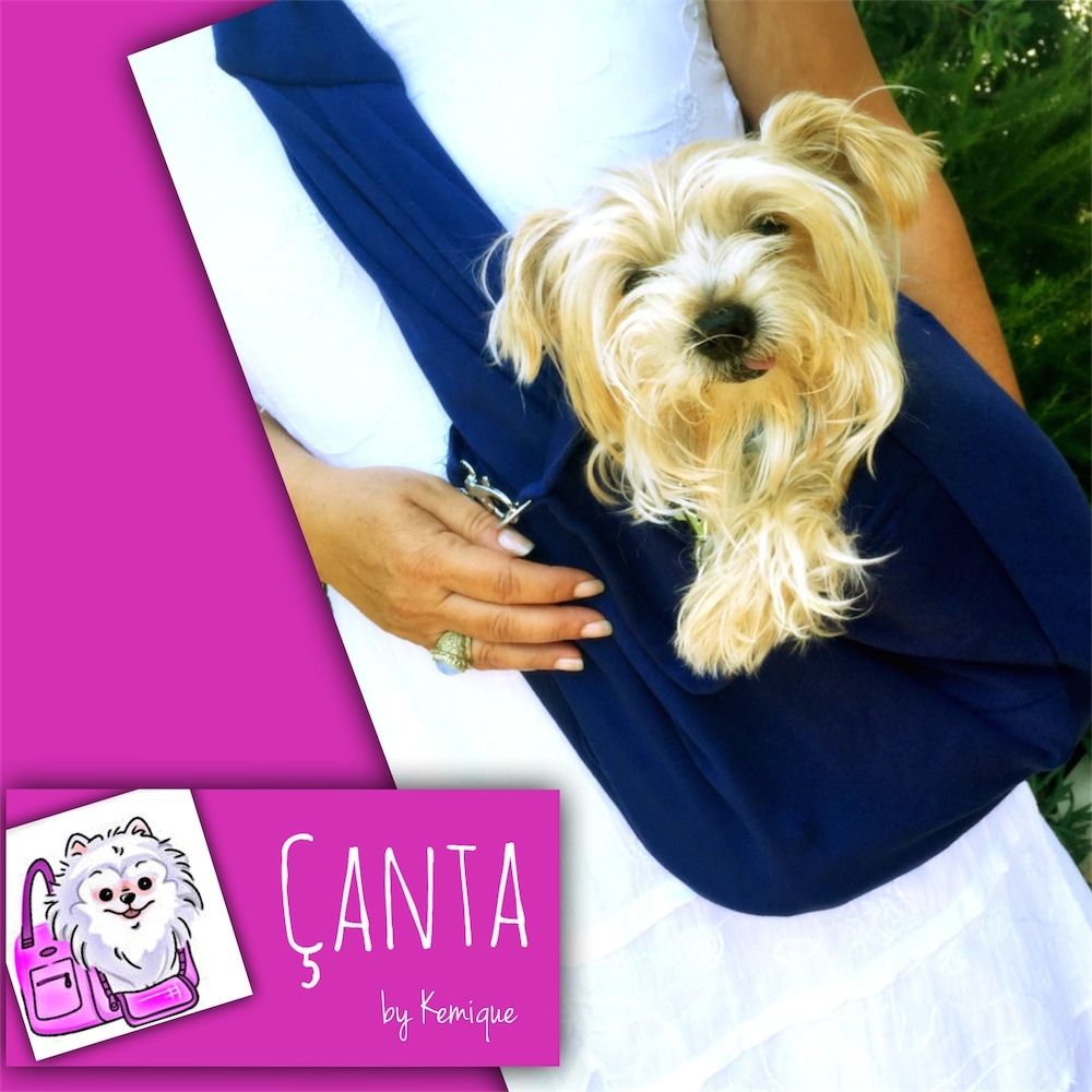 Köpek Taşima Çantası Lacivert