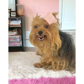 Köpek Tokası Plie Pink Toka, Köpek Aksesuar