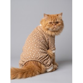 Latte & Matcha Kedi Rüyası | Pamuklu Kedi Tulumu, Polar Sweatshirt ve Mini Yastık | 3 Parça