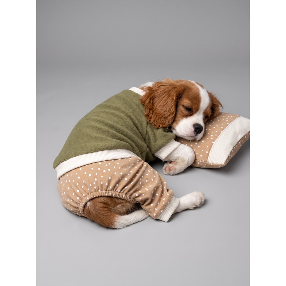 Latte & Matcha Köpek Rüyası | Pamuklu Köpek Tulumu, Polar Sweatshirt ve Mini Yastık | 3 Parça