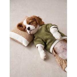 Latte & Matcha Köpek Rüyası | Pamuklu Köpek Tulumu, Polar Sweatshirt ve Mini Yastık | 3 Parça