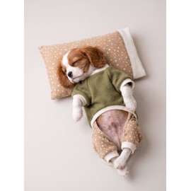 Latte & Matcha Köpek Rüyası | Pamuklu Köpek Tulumu, Polar Sweatshirt ve Mini Yastık | 3 Parça