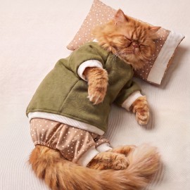 Latte & Matcha Köpek Rüyası | Pamuklu Köpek Tulumu, Polar Sweatshirt ve Mini Yastık | 3 Parça