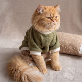 Latte & Matcha Köpek Rüyası | Pamuklu Köpek Tulumu, Polar Sweatshirt ve Mini Yastık | 3 Parça