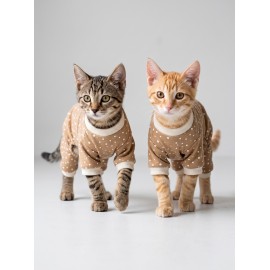 Latte Sprinkles Kedi Tulumu | Pamuklu Penye Kedi Kıyafeti | Küçük Irklar İçin | Tüy Dökülmesini Azaltır