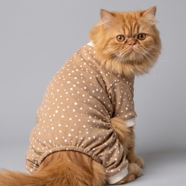 Latte Sprinkles Kedi Tulumu | Pamuklu Penye Kedi Kıyafeti | Küçük Irklar İçin | Tüy Dökülmesini Azaltır