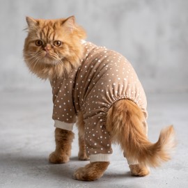 Latte Sprinkles Kedi Tulumu | Pamuklu Penye Kedi Kıyafeti | Küçük Irklar İçin | Tüy Dökülmesini Azaltır