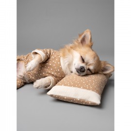 Latte Sprinkles Köpek Uyku Takımı | Pamuklu Penye Köpek Tulumu ve Mini Yastık | Küçük Irklar İçin | Tüy Dökülmesini Azaltır